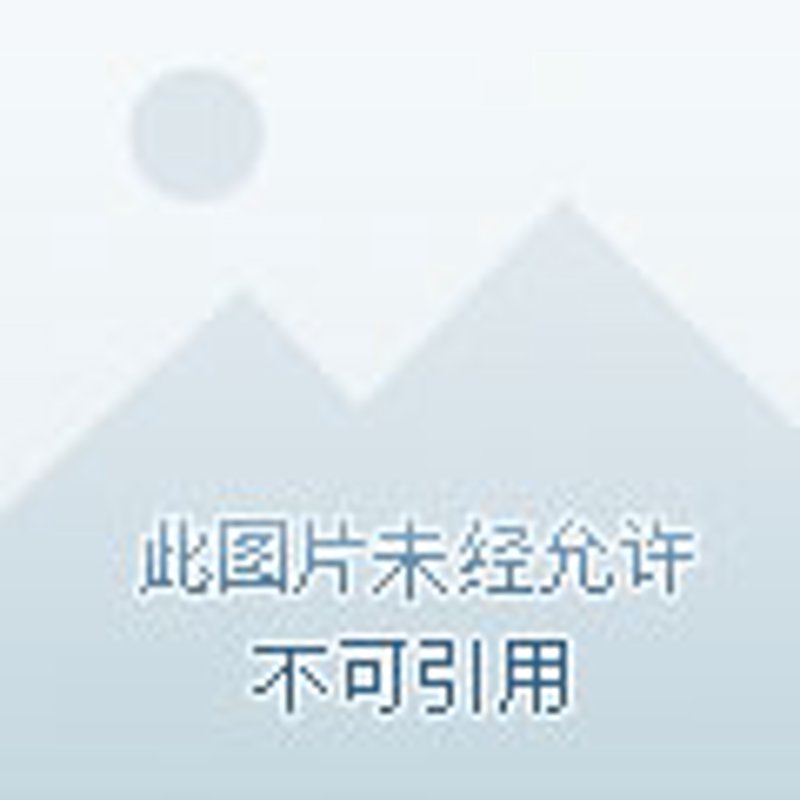 企业用工:适应时代的劳动力调配艺术